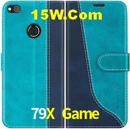 Login Seguro 79X Game